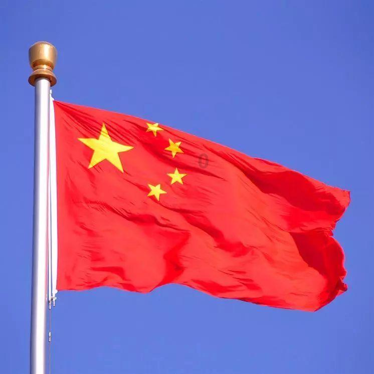萌犬记忆卡
