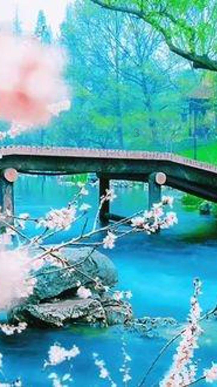 织金县猫场镇:勠力同心,三冬亦暖